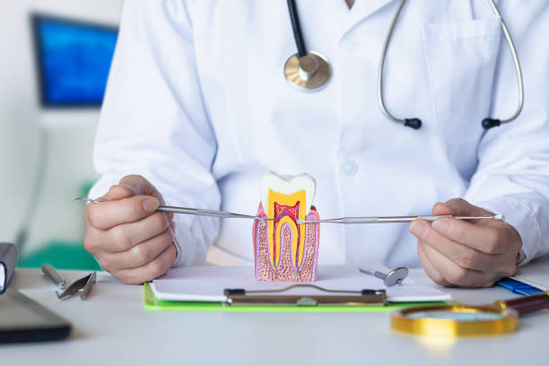 Best Dentist for Dental Trauma  in Nitro, WV